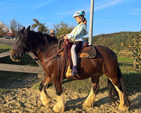 Reiten